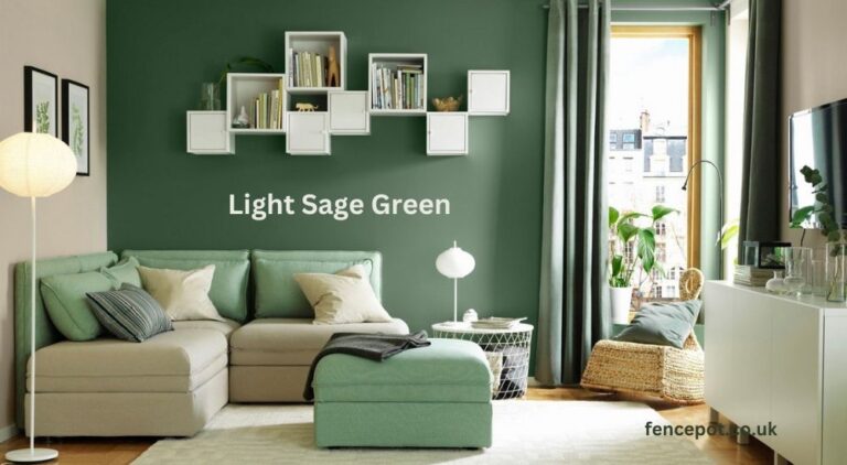 Why Light Sage Green is the Perfect Color for a Calm and Stylish Lifestyle