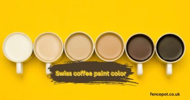 Swiss coffee paint color