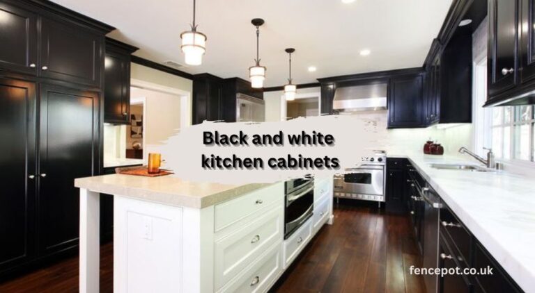 Timeless Elegance A Comprehensive Guide to Black and White Kitchen Cabinets