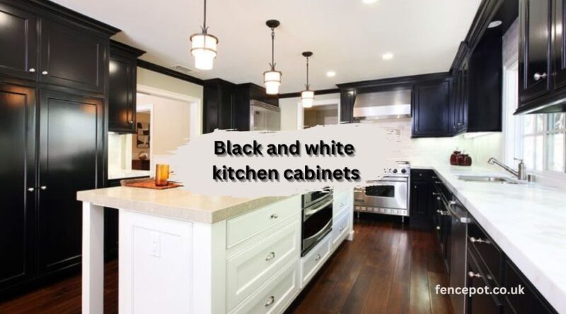 black and white kitchen cabinets