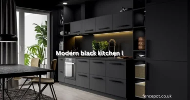 Modern black kitchen l