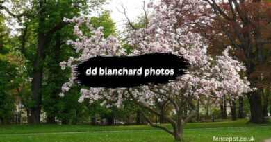 dd blanchard photos